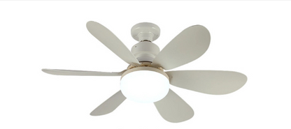 20.5-inch LED Ceiling Fan Light with Remote Dimming